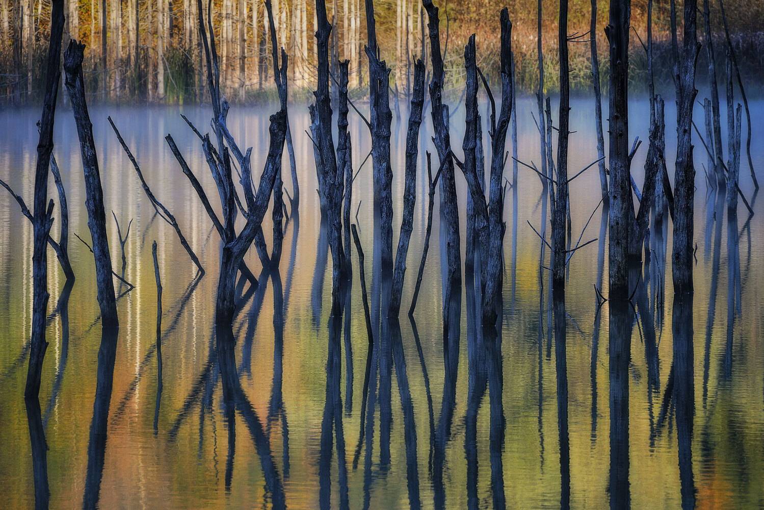 , Stefan Chirobocea