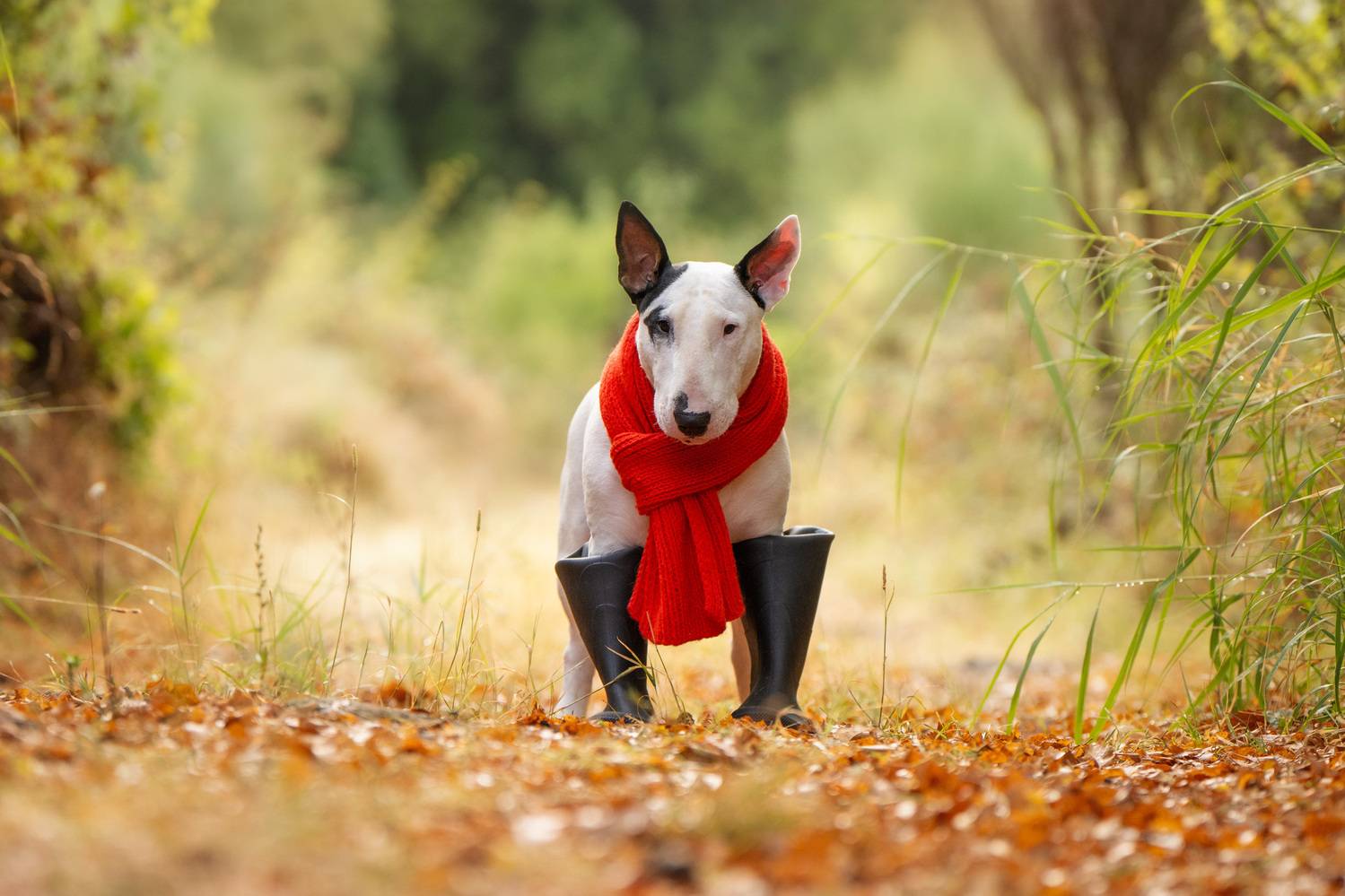 , Андрианова Ирина