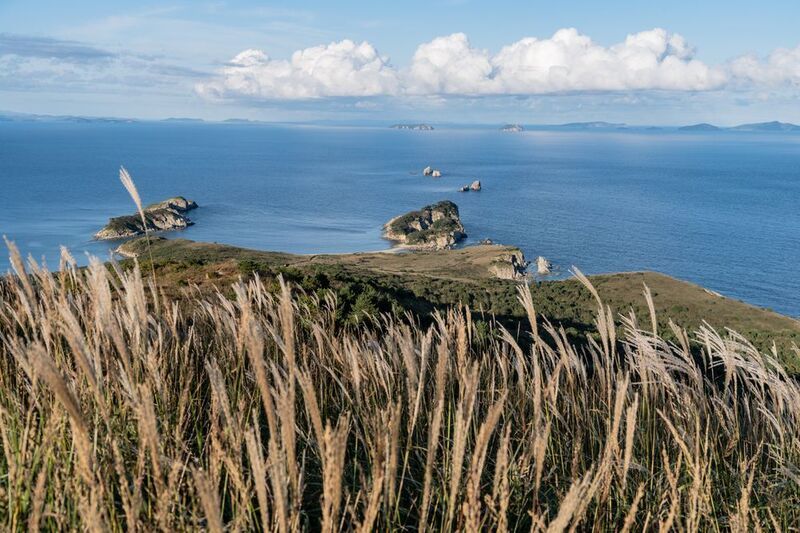 Россия, Приморский край, Японское море, полуостров Гамова, бухта Спасения, Приморье Приморье фото превью