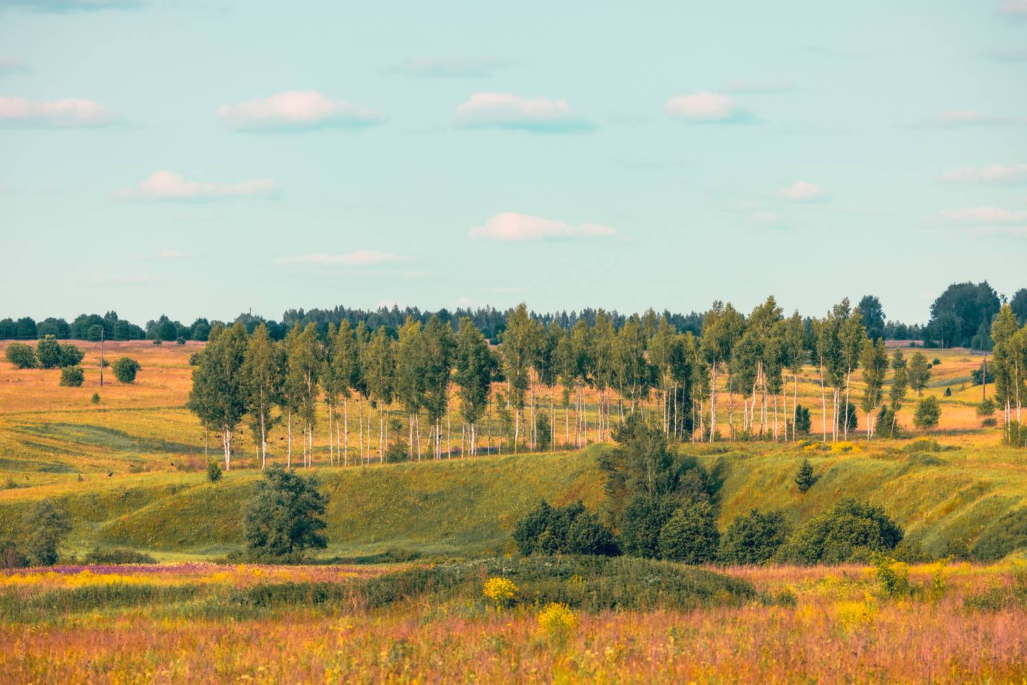 , Александр Шандов