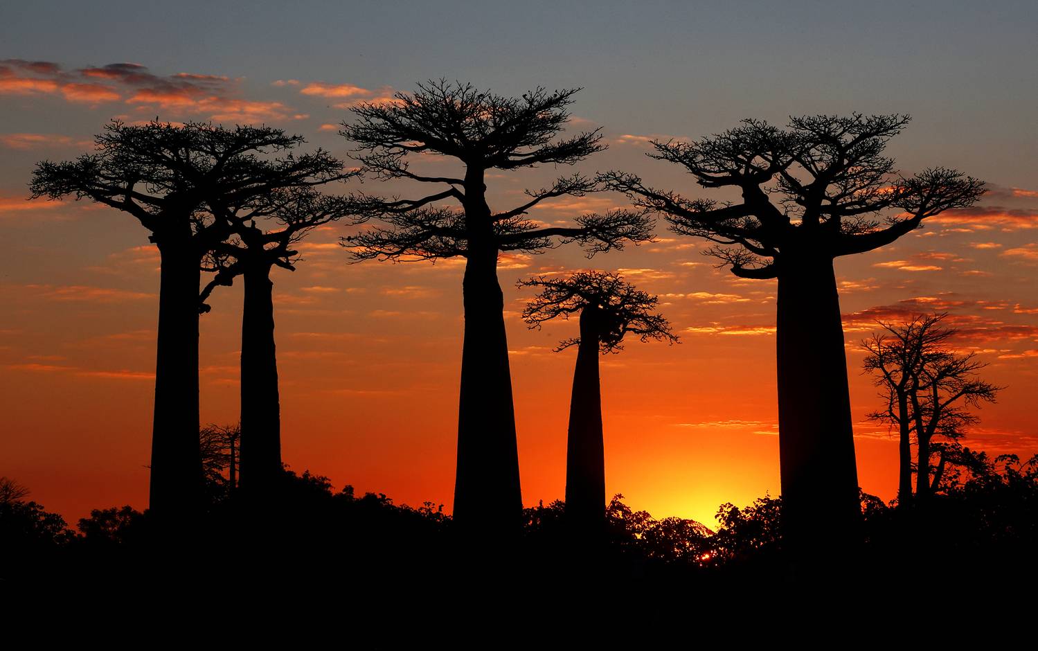 , Гудков Андрей