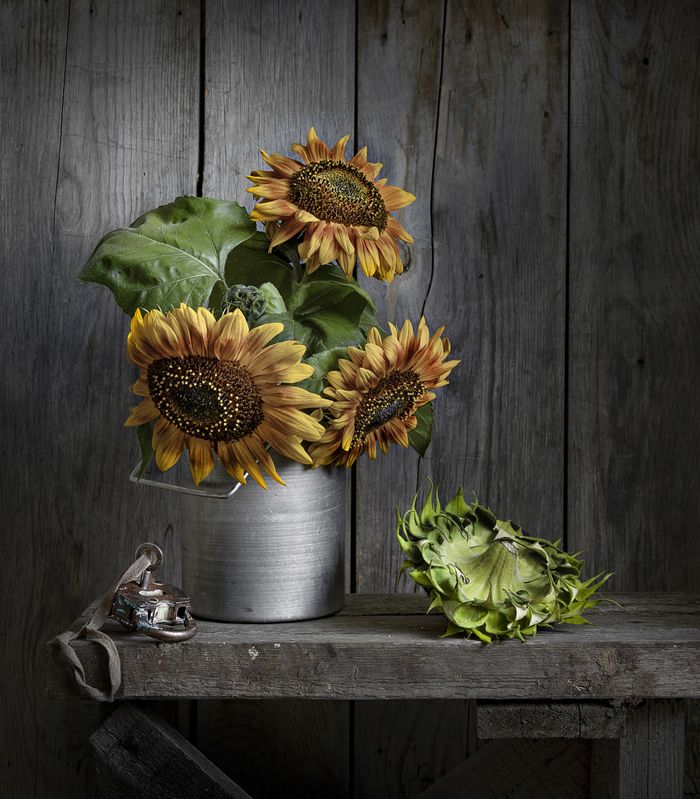 С  подсолнухами фото превью