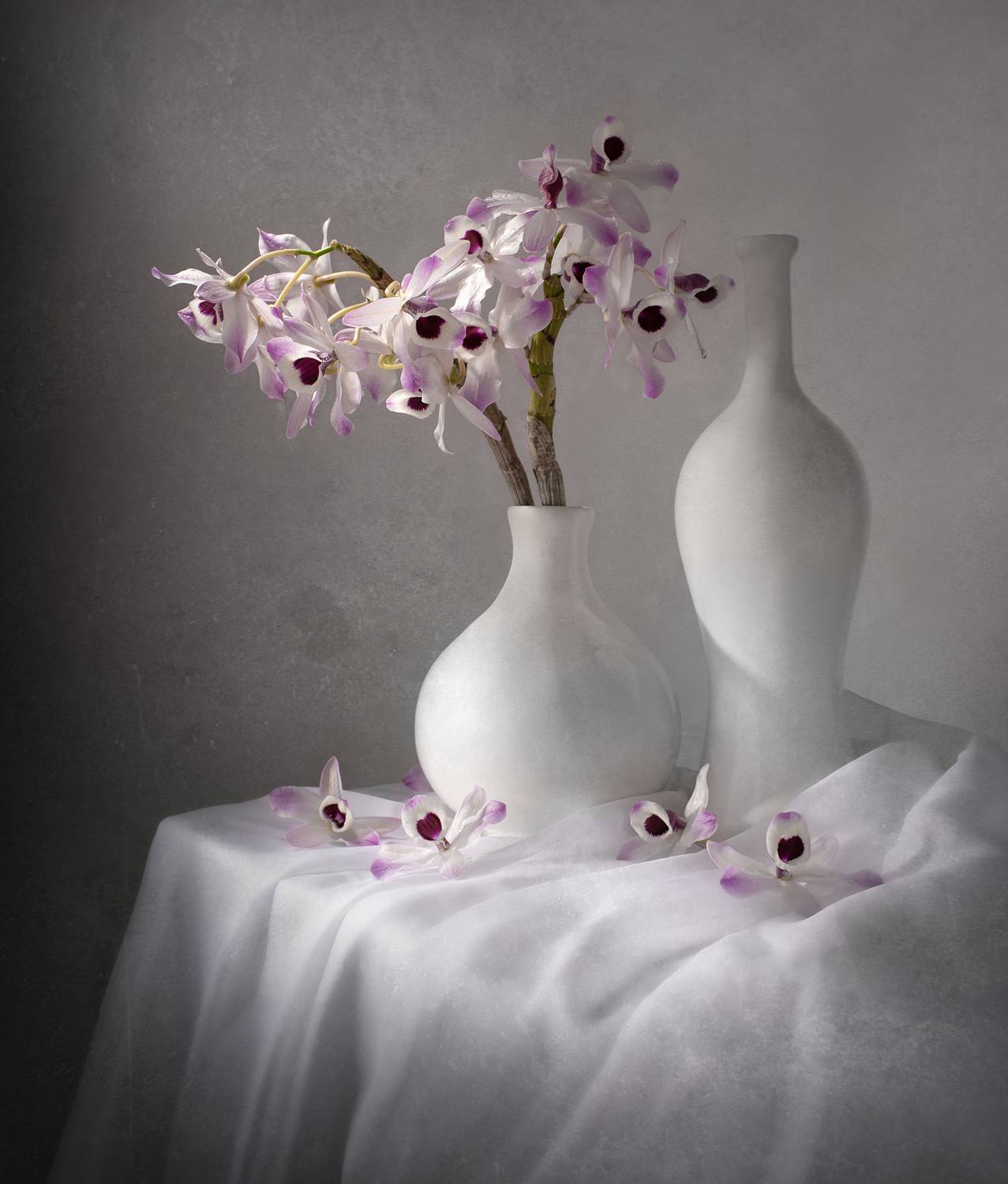Still life, flowers, orchid, lilac, white, Maria Margareth Perfoncio