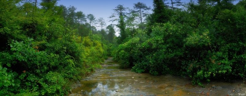 лето природа горы лес река панорама пейзаж Лесная зарисовка фото превью