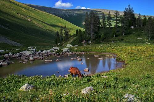 В горах Алтая