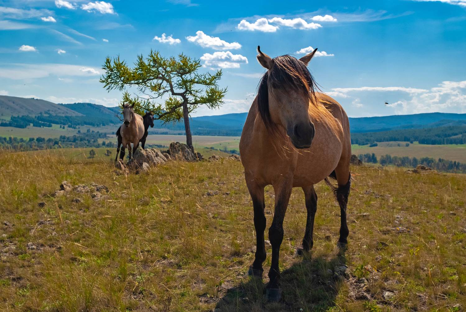 , Шустиков Дмитрий