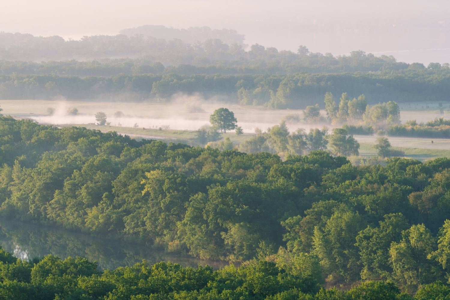 , Алексей Проняхин