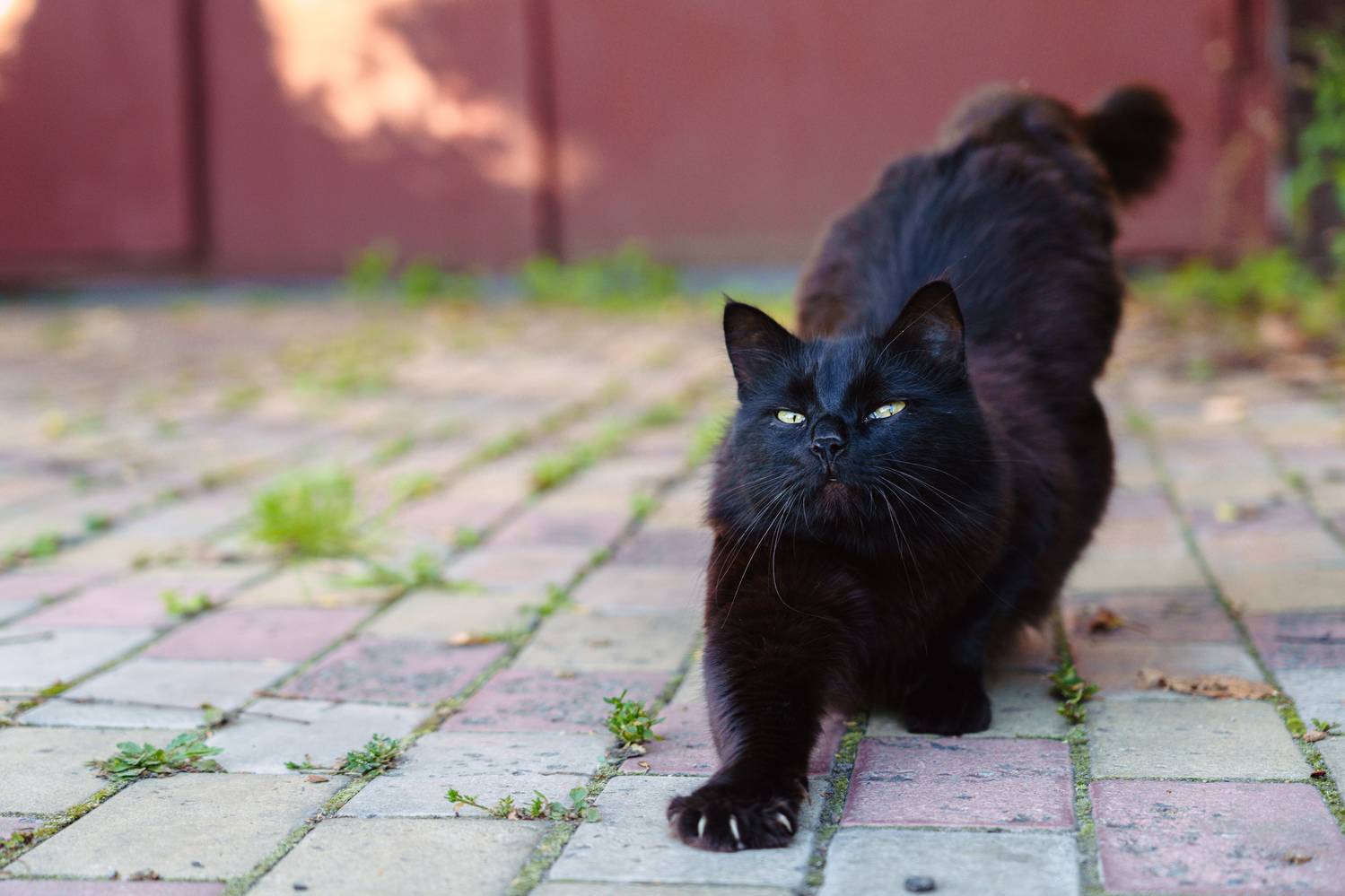 , Вертиков Юрий