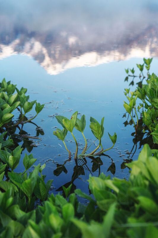 Джангысколь…  Djangyskol… фото превью