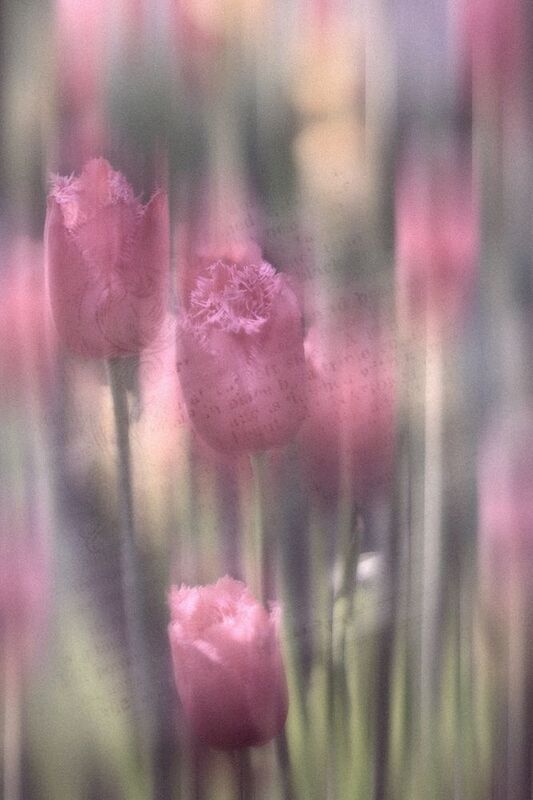 Ностальгия фото превью