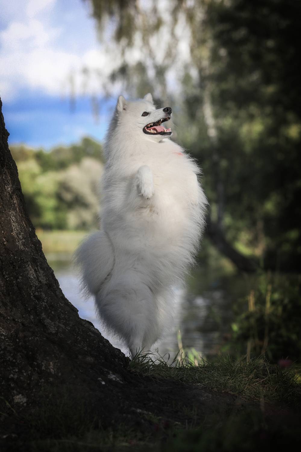 , Андрей Ершов