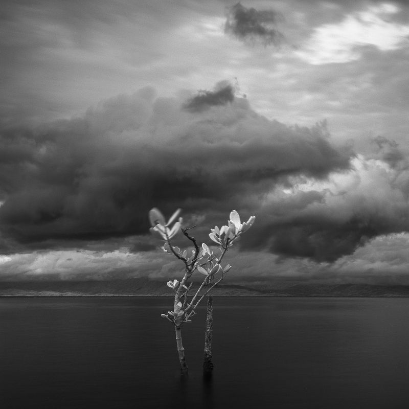 Asep Yusuf Tazul Arifin фото превью