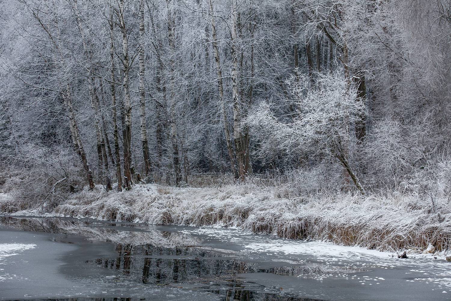 ,  александр михайлов