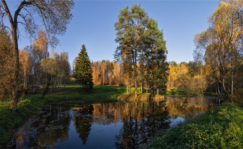 щелыково, островский, костромская область Островок фото превью