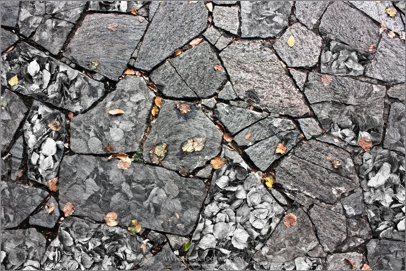 осень, абстракция, осенняя листва, октябрь, литография,палитра, оттиск, минимализм Осенняя литография фото превью