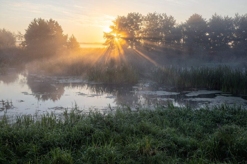 Лучи солнца от последних дней лета фото превью