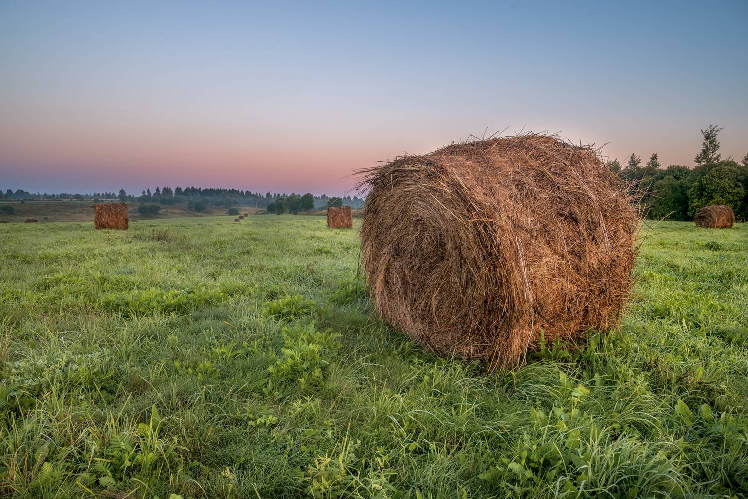 , Сережин Сережа
