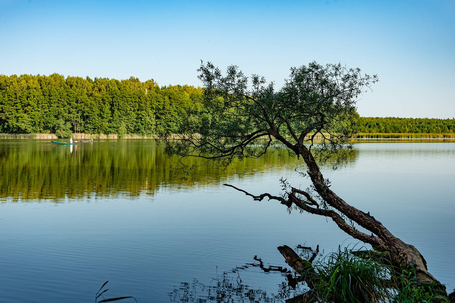 , Владимир Ноздрачев