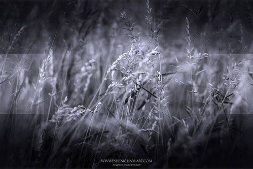 На холодном ветру