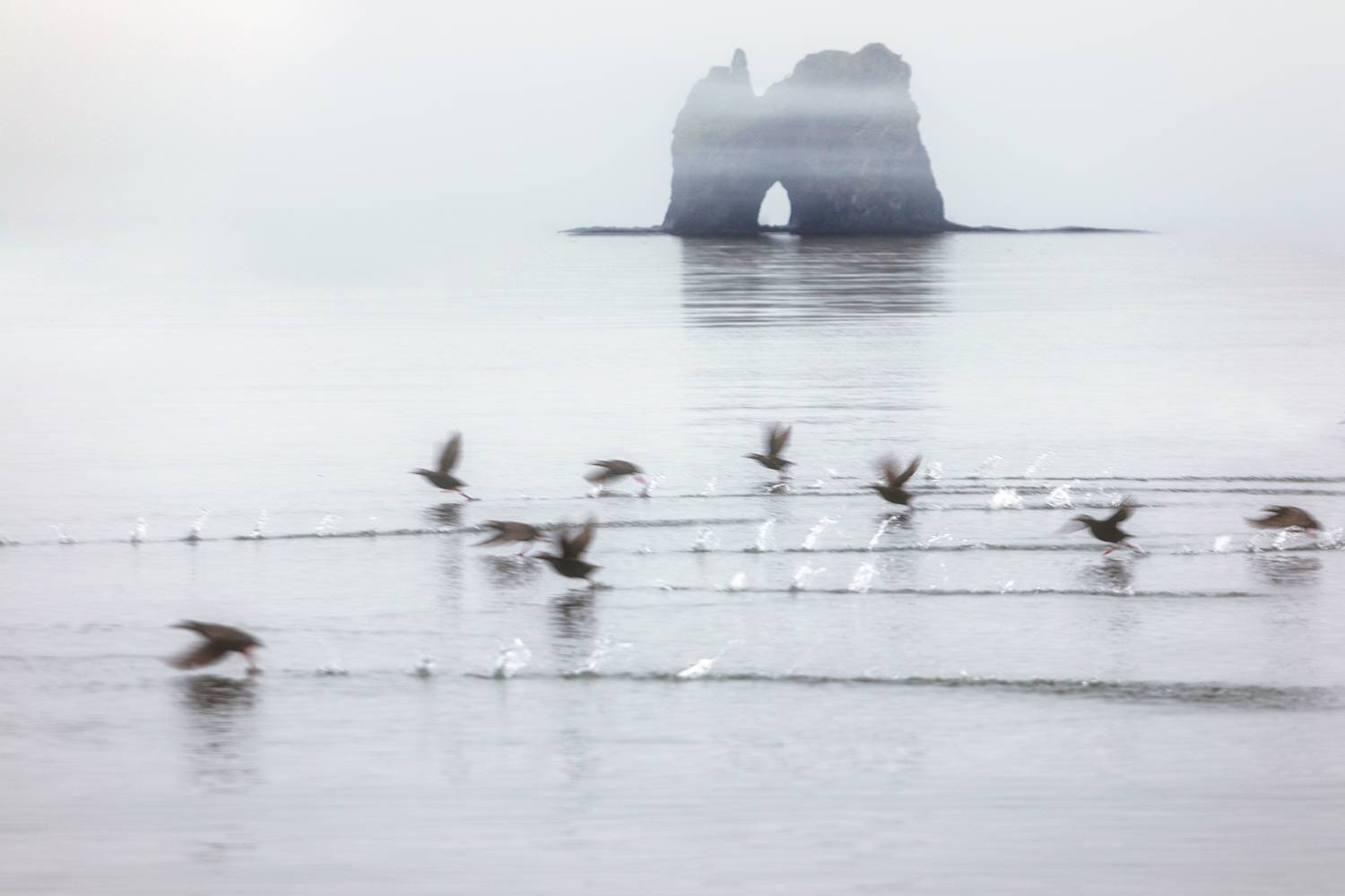 шантары, шантарские острова, туман, птицы, море, охотское, арка, Павел Ващенков