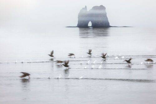 Шантарские острова