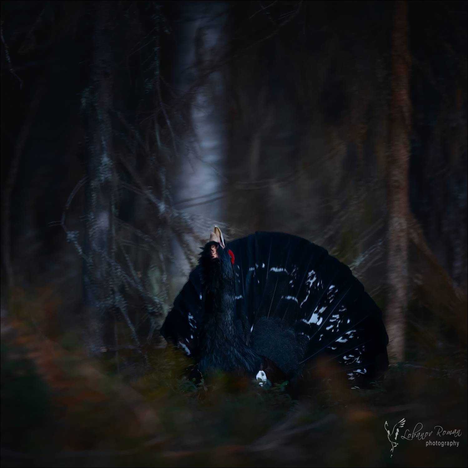 , Лобанов Роман