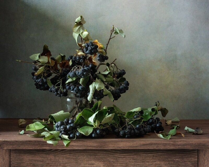 натюрморт, букет, рябина Увядание фото превью