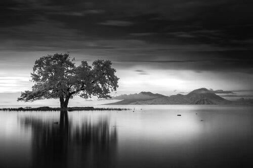 whispers of stillness
