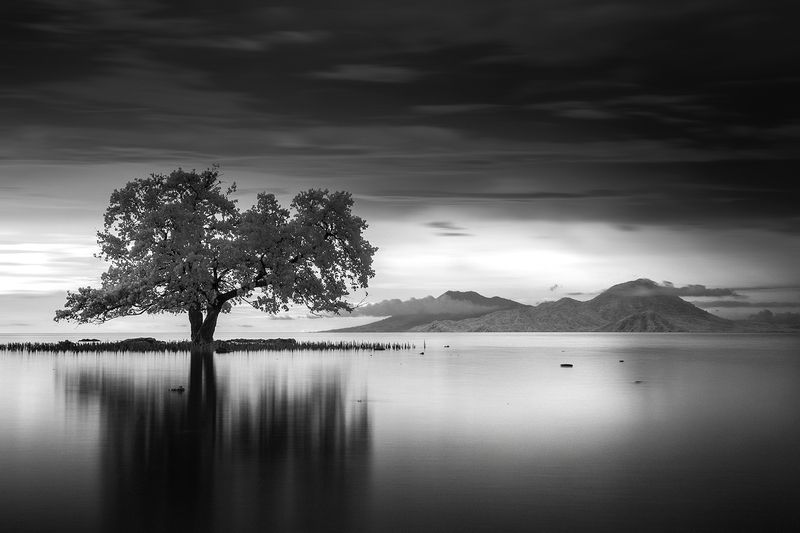 infrared, longexposure, blackandwhite whispers of stillness фото превью