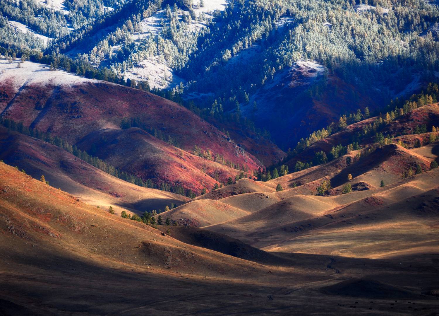 алтай, горный алтай, республика алтай, Галина Хвостенко