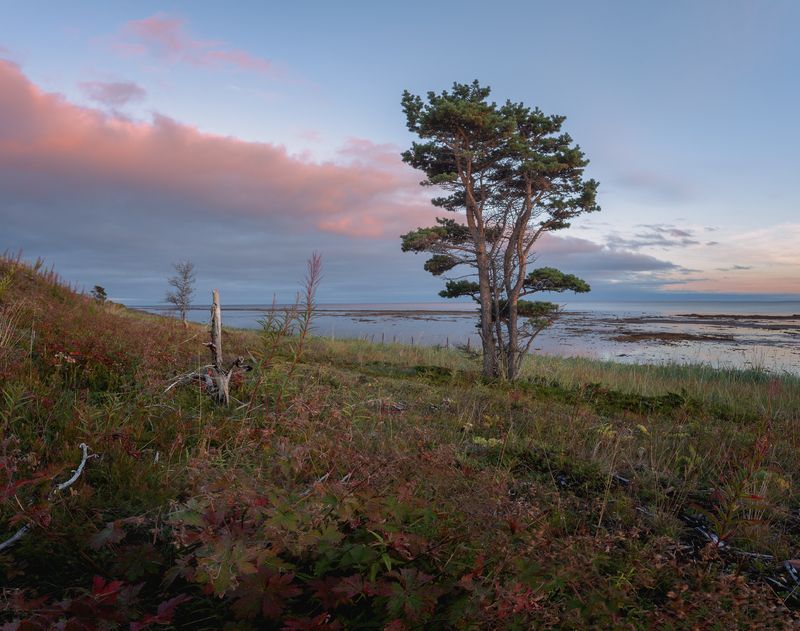 На Белом море фото превью