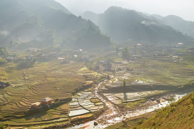 вьетнам, са па, рисовые террасы Са Па фото превью