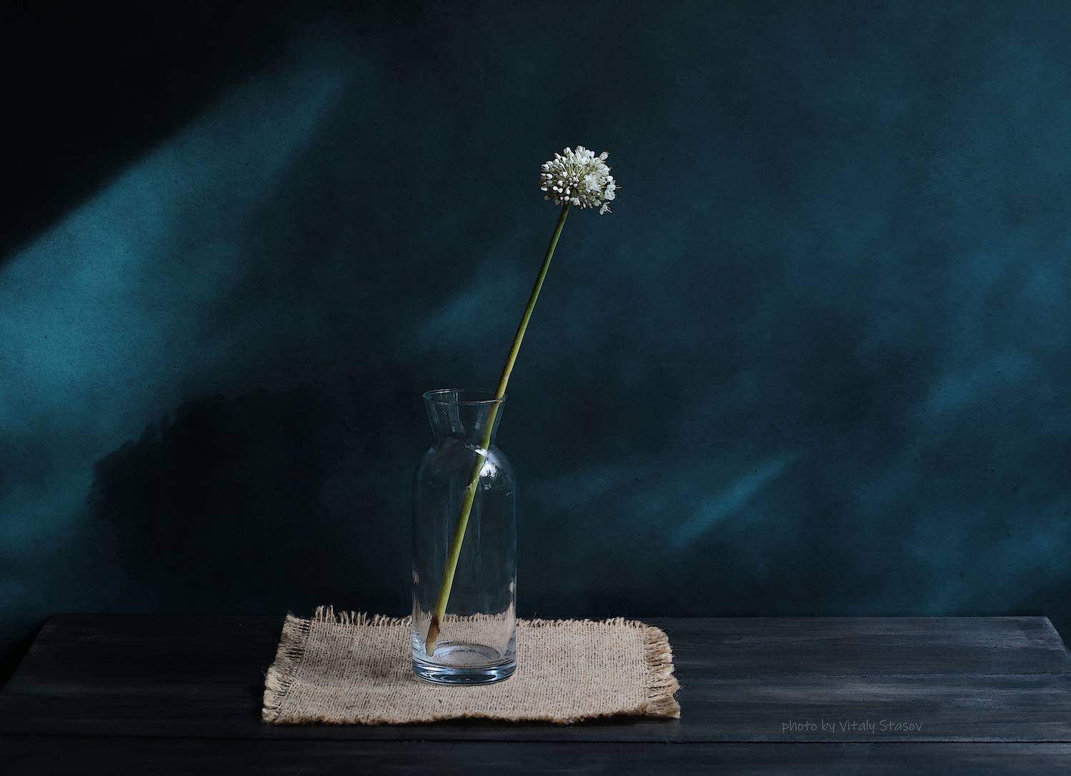 натюрморт, стекло, акварель, минимализм, цветы, minimalism, still life, Стасов Виталий