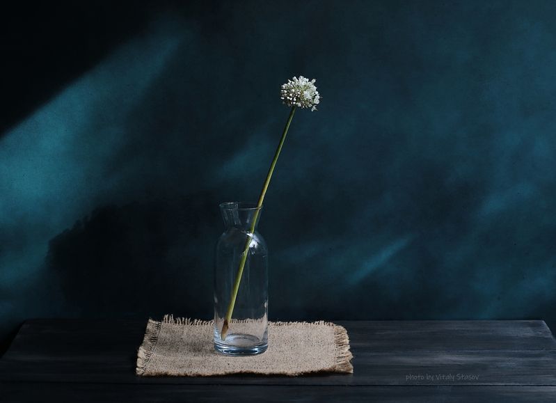 Тени, силуэты. Оттенки цвета.. фото превью