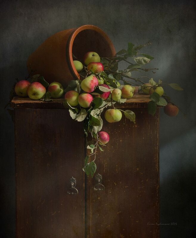 яблоки, кострома,натюрморт Яблоки фото превью