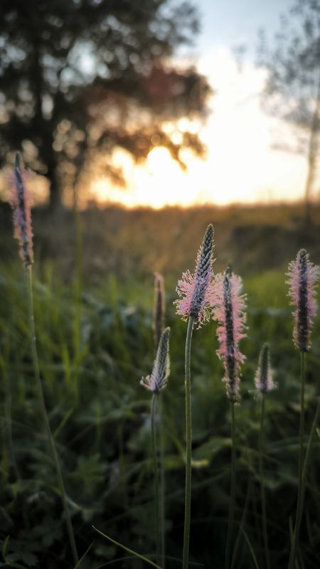 Вечерело фото превью