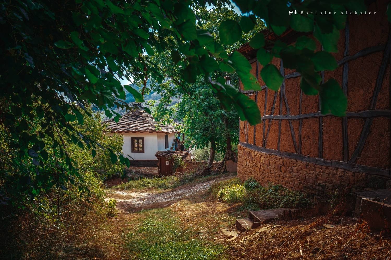 българия,старо стефаново,travel,old,house,tree,road,green,summer, Алексиев Борислав