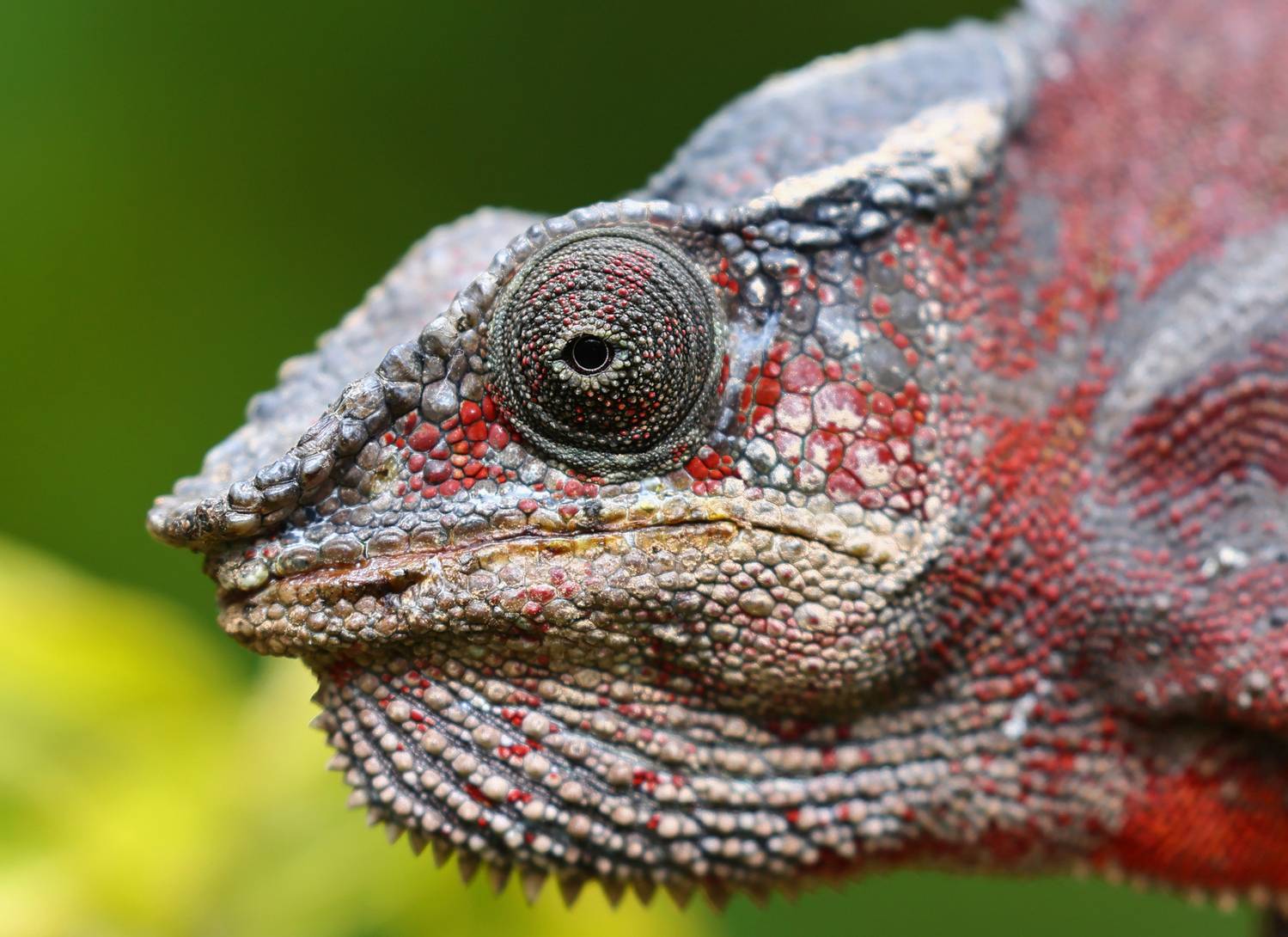 , Гудков Андрей