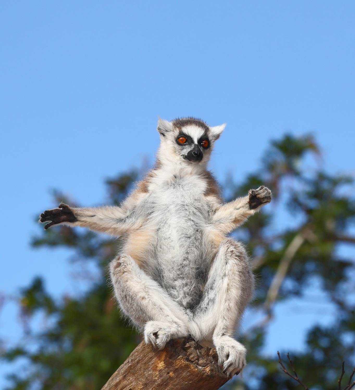 , Гудков Андрей