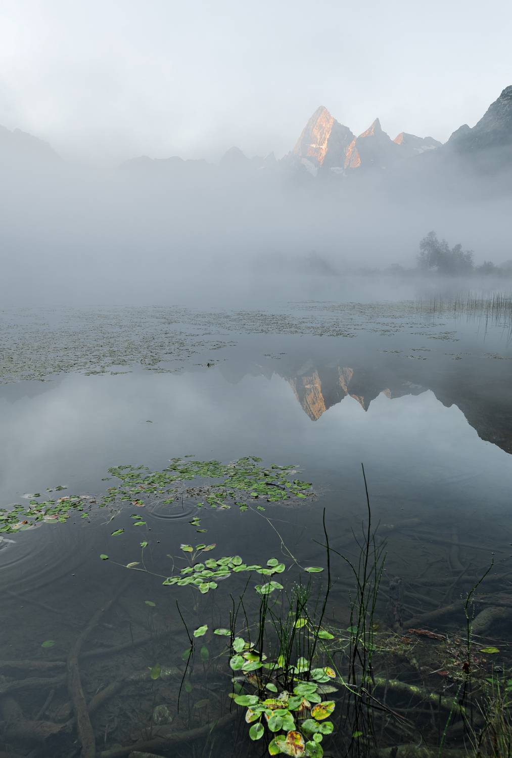 , Валерий Одинцов