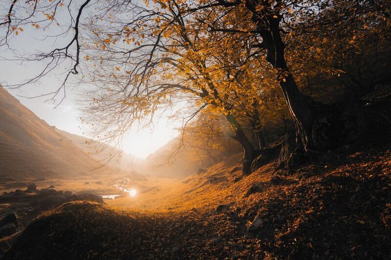 осень, рассвет, утро, горы, туман, свет, деревья, природа, золотая осень, пейзаж, атмосферно, красота природы, утренний свет, тишина Осенний рассвет в горах фото превью
