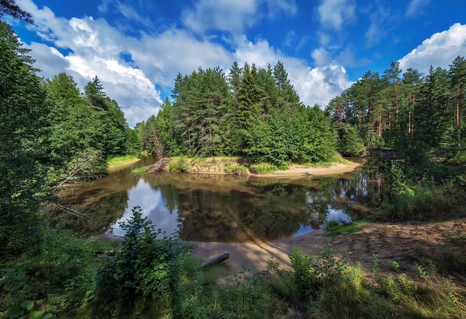 , Лисицын Сергей