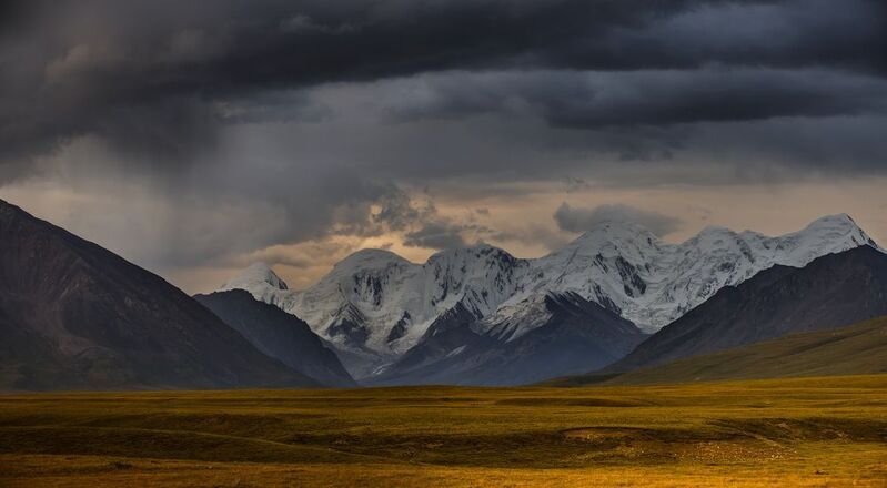 После дождичка... фото превью