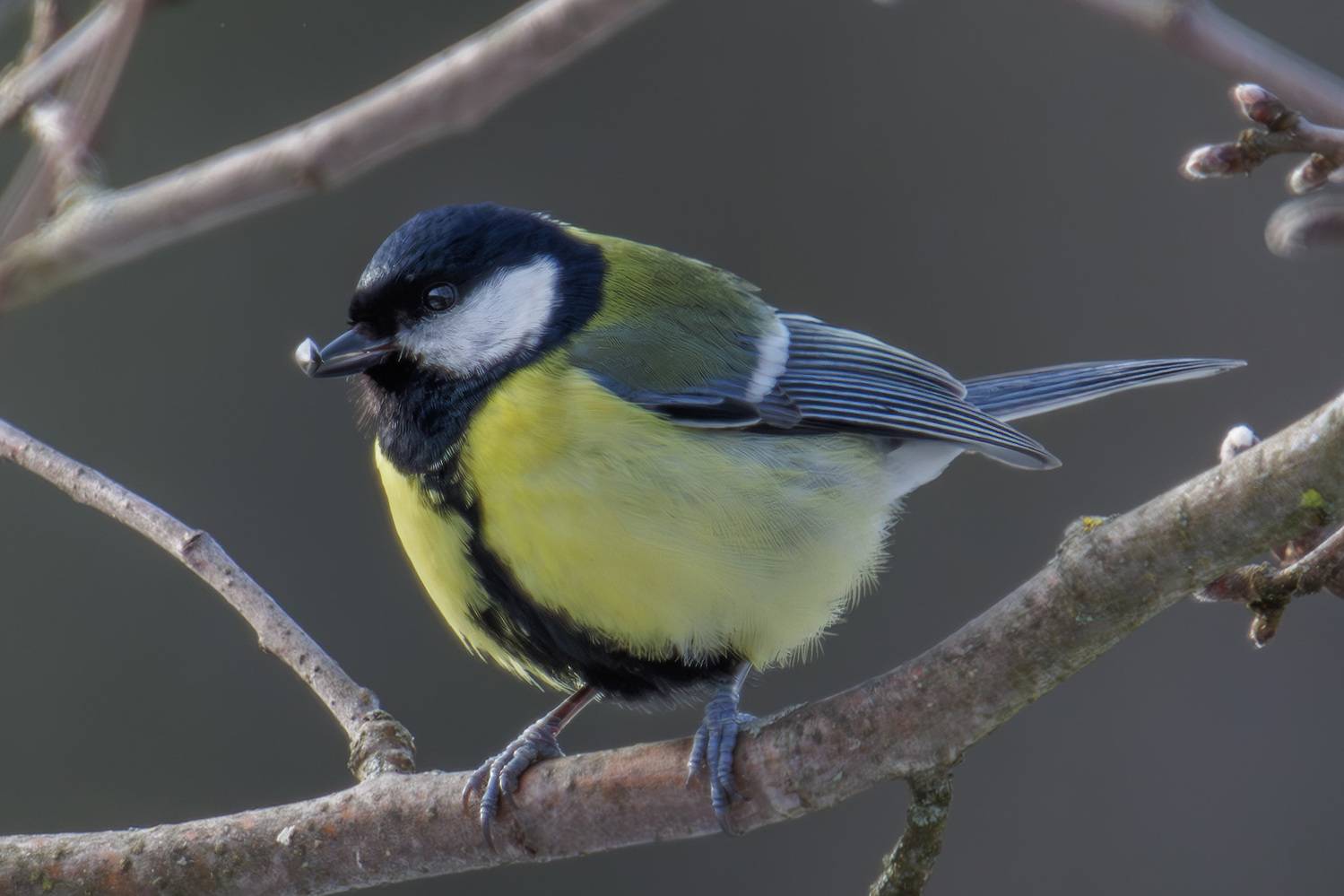 , Морозов Сергей