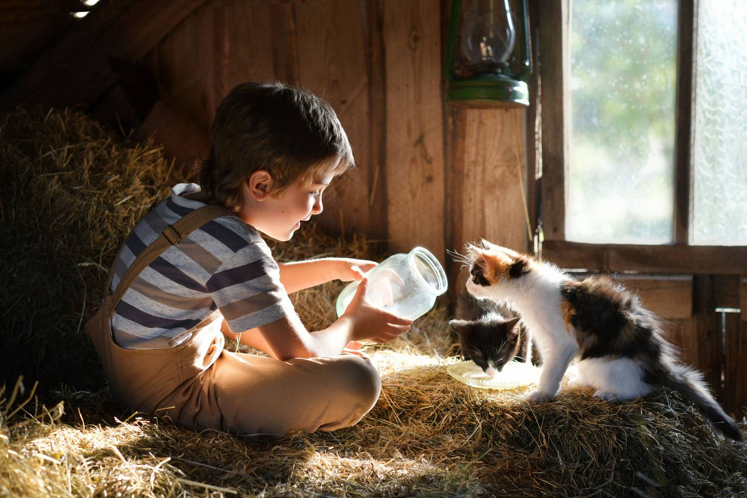 дети, лето,деревня,котята,каникулы, Ирина Ефимова