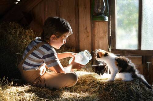 Милые друзья