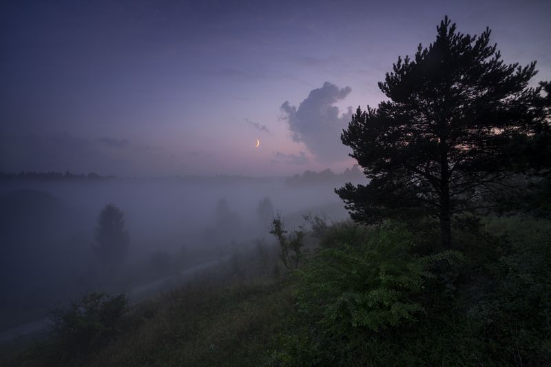 радонеж, туман, московская область Утонуть в тумане фото превью