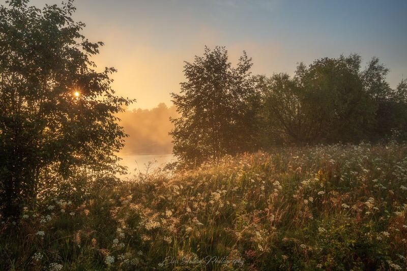 Конец лета на лугах фото превью