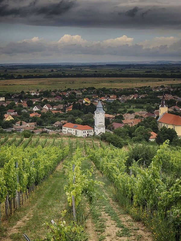 Tarcal фото превью