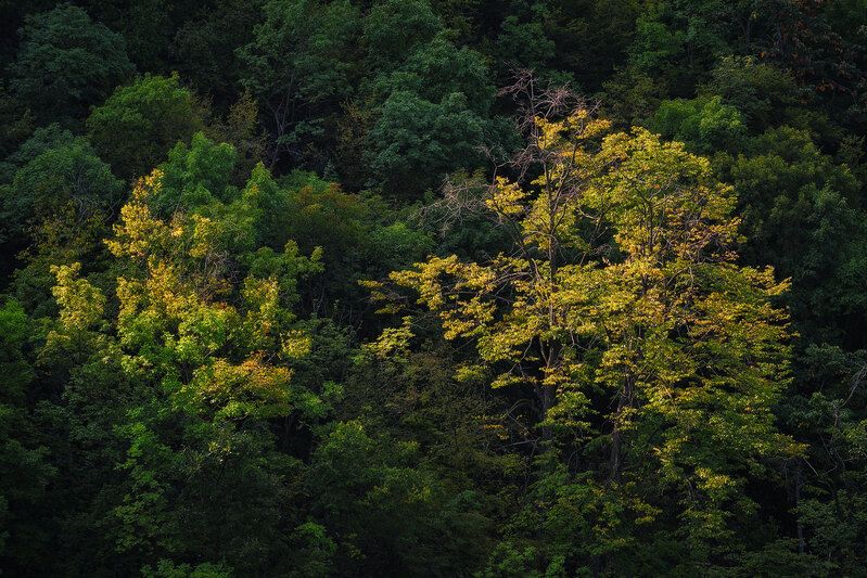 2018 фото превью